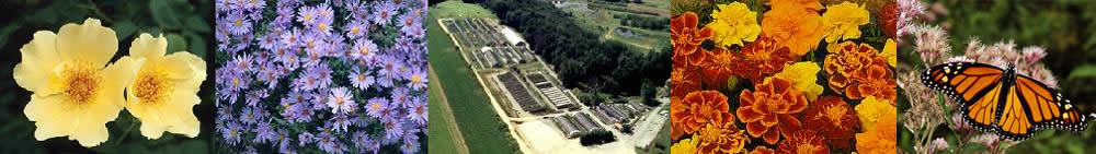 Groff's Plant Farm Images